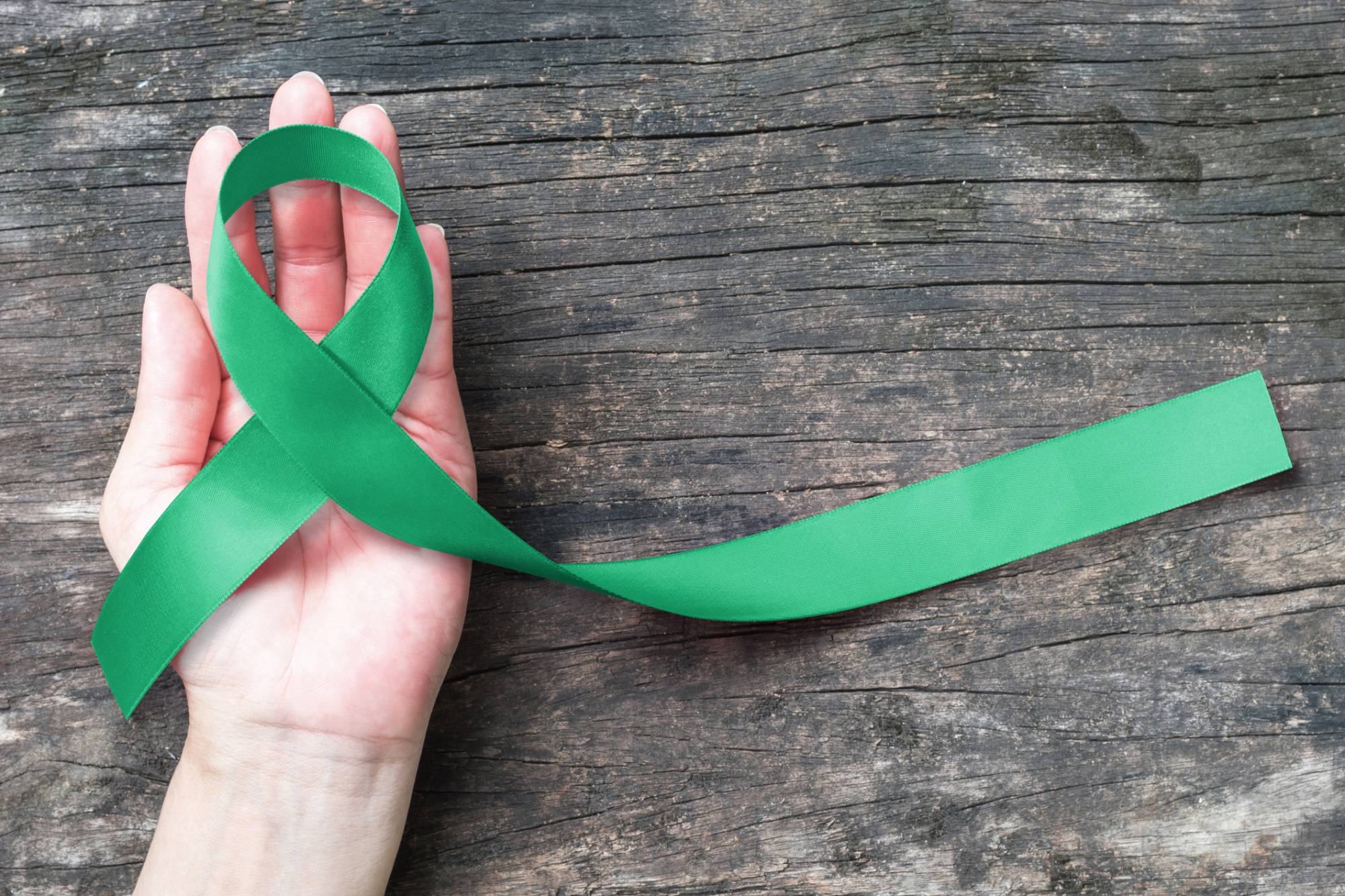 O Abril Verde e a luta contra as doenças do trabalho